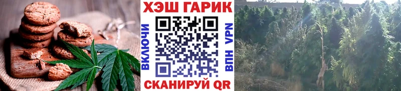 Еда ТГК марихуана  Камышин 